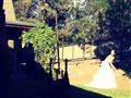 عروسة أمريكية تقذف "بوكيه الورد" لضيفاتها بـ"آلة ح
