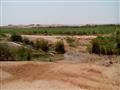 نقص المياه يهدد وادي النقرة في أسوان بالبوار (3)                                                                                                                                                        
