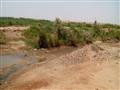 نقص المياه يهدد وادي النقرة في أسوان بالبوار (4)                                                                                                                                                        
