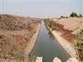 نقص المياه يهدد وادي النقرة في أسوان بالبوار (9)                                                                                                                                                        