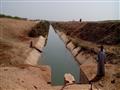 نقص المياه يهدد وادي النقرة في أسوان بالبوار (12)                                                                                                                                                       