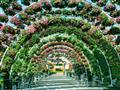 دبي تضم أكبر حديقة زهور في العالم                                                                                                                                                                       