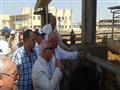 افتتاح عنبر بمجزر القابوطي الجديد في بورسعيد