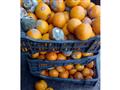 ضبط برتقال غير صالح للاستخدام (1)