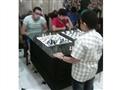 لاعبة شطرنج (6)                                                                                                                                                                                         