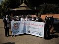 مسيرة بالبواخر النيلية للتوعية بدور التمريض (2)                                                                                                                                                         