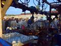 سوق دمنهور الدولى للماشية تصوير  حسام دياب (48)                                                                                                                                                         