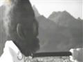 فيديو نادر لخطبة الشيخ الشعراوي على جبل عرفات عام 