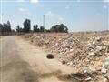 القمامة حول مدارس بورسعيد (1)                                                                                                                                                                           