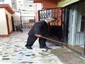 مدير مدرسة ينظف الفصول في بورسعيد (6)                                                                                                                                                                   