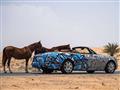 سيارات فريق "Habibeez" مزينة برسوم الجرافيتي