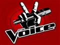 the voice