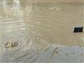 إدكو تغرق في مياه الأمطار (17)                                                                                                                                                                          