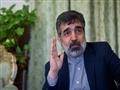 نائب رئيس منظمة الطاقة الذرية الإيرانية بهروز كمال