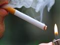 رجيم جديد ينقي الرئتين من آثار التدخين