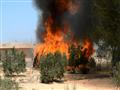 قتل تكفيريين وتدمير عربة مفخخة بشمال سيناء (3)                                                                                                                                                          