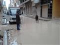 أمطار غزيرة وعواصف الإسكندرية تواجه الكرم لليوم الثاني (6)                                                                                                                                              