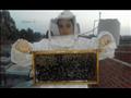 الطفلة منة خلال أداء عملها في تربية النحل                                                                                                                                                               