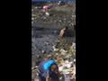 المواطنون أثناء صيد القراميط من برك الوحل والقمامة (5)                                                                                                                                                  