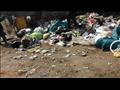 لقمامة تحاصر مستشفى التأمين الصحي بالمنيا (4)