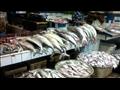 أسعار السمك - أرشيفية                             