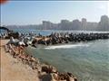 مشروعات حماية شواطئ الإسكندرية (1)                                                                                                                                                                      
