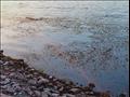 المخلفات تلوث نهر النيل في الأقصر ‫ (3)                                                                                                                                                                 