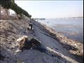 مدينة الأقصر تشن حملة لتنظيف نهر النيل من القمامة والمخلفات (3)                                                                                                                                         