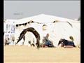 الاحتفال بيوم الصقارة العالمي في صحراء برج العرب (11)                                                                                                                                                   