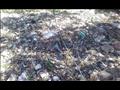 شوائب وقمامة في ترعة الصرف الصحي بقريتي الروس والزورات                                                                                                                                                  