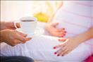 تناول الشاي والقهوة خلال الحمل يؤذي الجنين                                                                                                                                                              