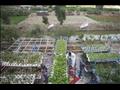 زراعة الأسطح في قرية نجع عون