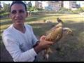 إطلاق طيور جارحة بعد إنقاذها في الإسكندرية (7)                                                                                                                                                          