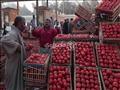 ارتفاع سعر قفص الطماطم إلى 125 جنيهًا بسبب الجو
