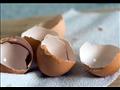   دراسة حديثة تكشف عن فوائد ومخاطر تناول قشر البيض