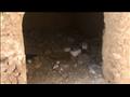 سرقة مقابر الموتى في المنيا (8)                                                                                                                                                                         