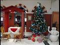 أشجار الكريسماس ومجسمات بابا نويل تزين فنادق الأقصر (3)