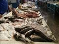 أسعار السمك في سوق العبور
