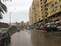 أمطار في الإسكندرية (3)                                                                                                                                                                                 