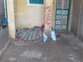 مأساة طفلين يعيشان في الشارع بكفر الشيخ (2)                                                                                                                                                             