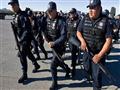 الشرطة المكسيكية                                  