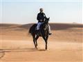 الوليد بن طلال يحتفل مع أسرته في الصحراء بعد إطلاق سراحه (2)                                                                                                                                            