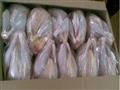 TOP-Brazilian-Quality-Halal-Frozen-Whole-Chicken