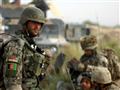 قوات الأمن الأفغانية                              