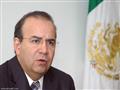 وزير الداخلية المكسيكي ألفونسو نافاريتي