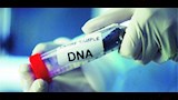 تحليل DNA يثبت هوية المتهم بارتكاب واقعة جريمة طوخ