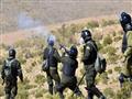 الشرطة في بوليفيا