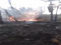 حريق هائل في مزرعة نخيل (4)                                                                                                                                                                             