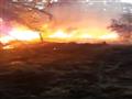 حريق هائل في مزرعة نخيل (2)                                                                                                                                                                             
