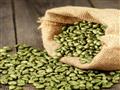 دراسة حديثة القهوة الخضراء طريقة فعالة لحرق الدهون